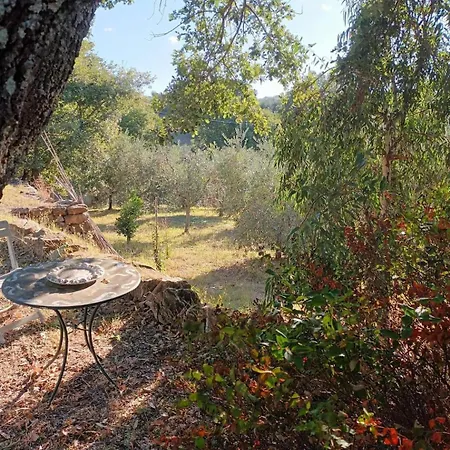 Casa In Maremma Apartamento