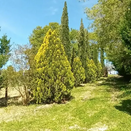 Casa In Maremma