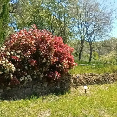 Casa In Maremma Apartamento Montemerano