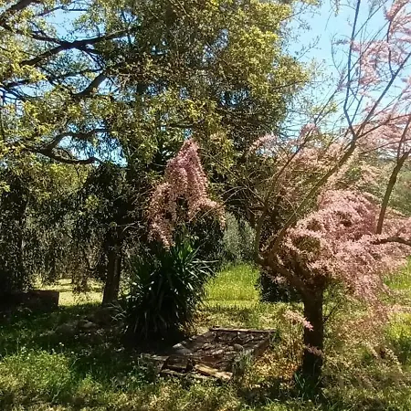 Casa In Maremma Apartamento Montemerano