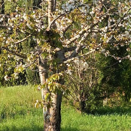 Appartement Casa In Maremma