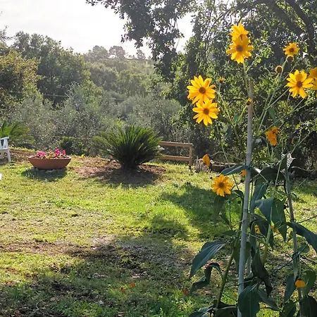 Casa In Maremma Montemerano